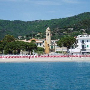 Scarica l'allegato